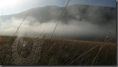 DSC04498
