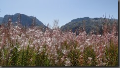 DSC04669