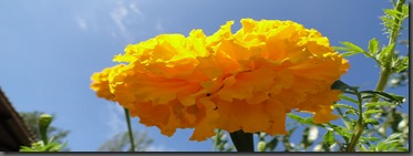 DSC05033