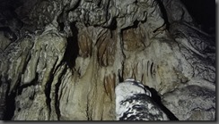 DSC05081