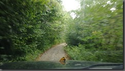 IMG_20190903_152447