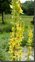 IMG_20190904_090844