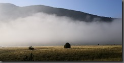 IMG_20190905_081703