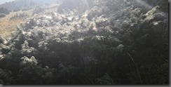 IMG_20190905_083623