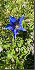IMG_20190905_125526
