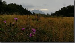 IMG_20190907_152252