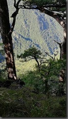 IMG_20190909_100546