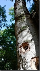 IMG_20190909_101109