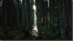 IMG_20190912_074434