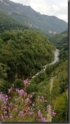 IMG_20190912_125713