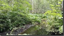IMG_20190912_143600
