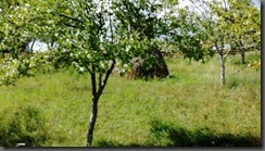 IMG_20190913_132320