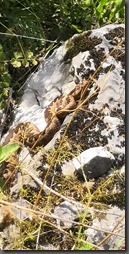 IMG_20190914_121704