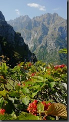 IMG_20190914_131106