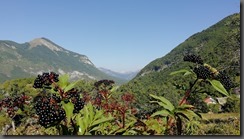 IMG_20190915_094358