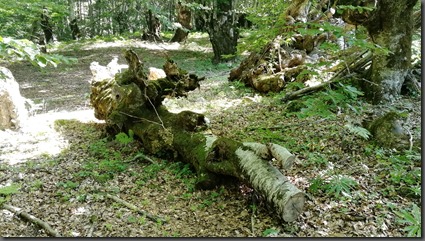 IMG_20190915_111653