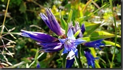 IMG_20190915_121926