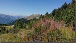 IMG_20190915_123746
