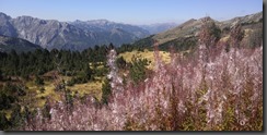 IMG_20190915_125123