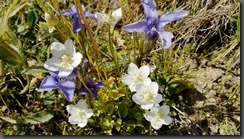 IMG_20190915_151147