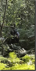 IMG_20190915_172803