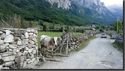 IMG_20190915_180017