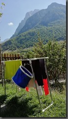 IMG_20190917_123927[4]