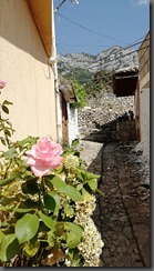IMG_20190918_140944