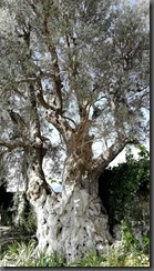 IMG_20190918_150038