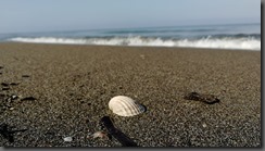 IMG_20190919_094007