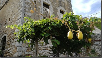 IMG_20190920_142224