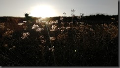IMG_20190922_175609