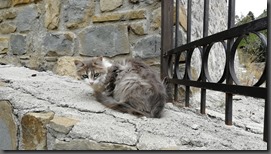 IMG_20190923_143115