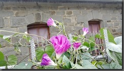 IMG_20190923_145142