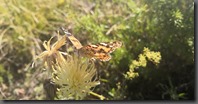 IMG_20190925_113730