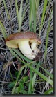 IMG_20190925_145649