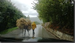 IMG_20190926_093126