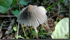 IMG_20190928_093548