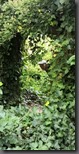 IMG_20190928_093725