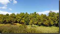 IMG_20190929_140909