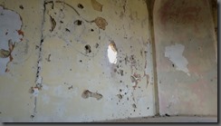 IMG_20190929_154321