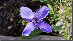 IMG_20191001_135351