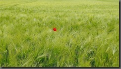 lu813267hlt7_tmp_4fab9d6555be900e